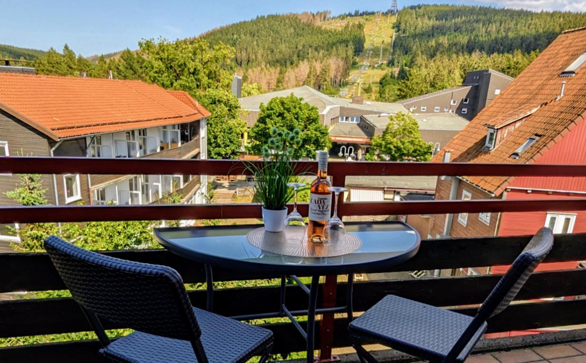 Chill Out Apartment Bergblick Goslar Dış mekan fotoğraf